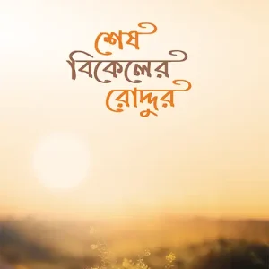 শেষ বিকেলের রোদ্দুর